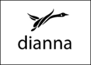 diannafashion.com